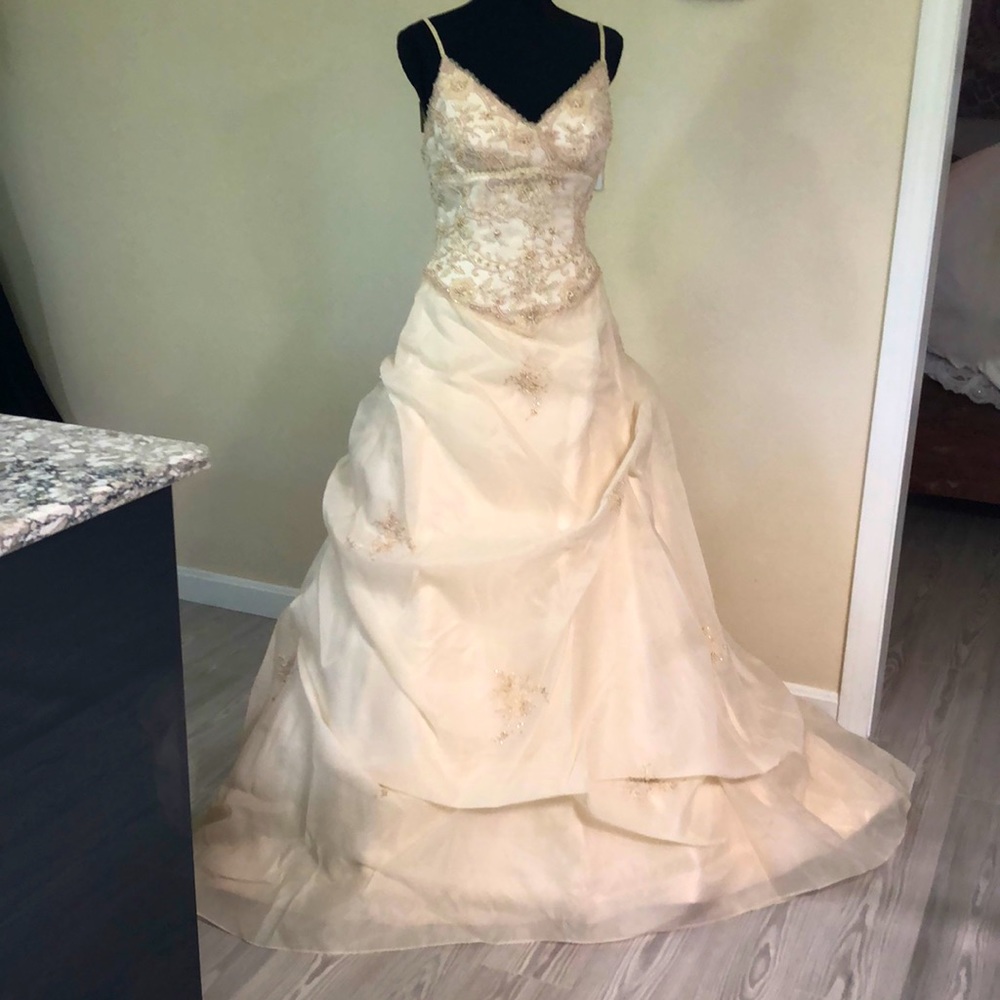 Golden/ ivory organza cathedral wedding gown